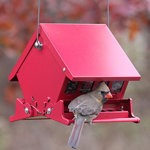 audubon quot mini quot absolute squirrel resistant bird feeder audubon quot mini quot absolute squirrel resistant bird feeder