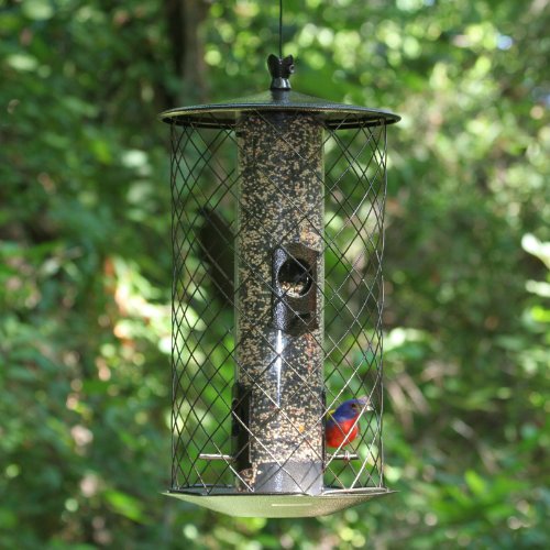 birdscapes 735 the preserve wild bird feeder birdscapes 735 the preserve wild bird feeder