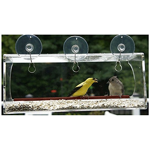 large window bird feeder clear window mount see through large window bird feeder clear window mount see through