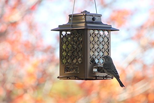 more birds 105in copper finish metal hopper bird feeder more birds 105in copper finish metal hopper bird feeder