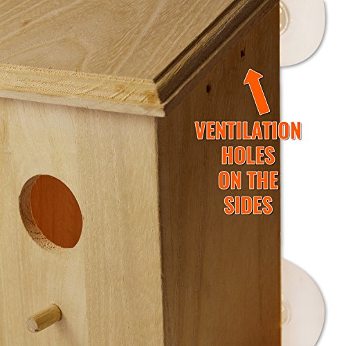 PetsN'all Clear Window Bird Nest Box with Perch, Bird House