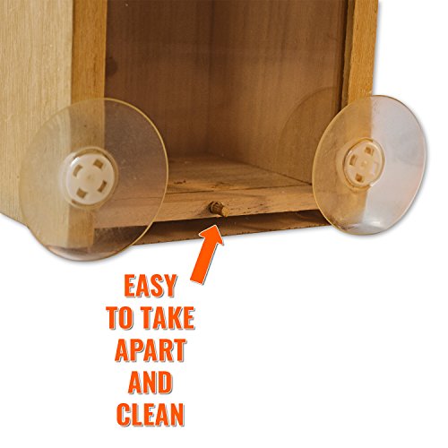 PetsN'all Clear Window Bird Nest Box with Perch, Bird House