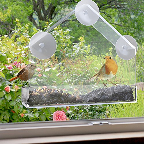 Homeware Window Bird Feeder with Mount Suction Cups, Large