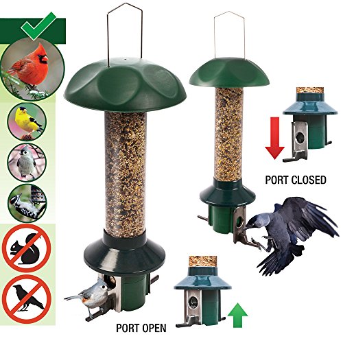 roamwild pestoff squirrel proof bird feeder mixed seed sunflower