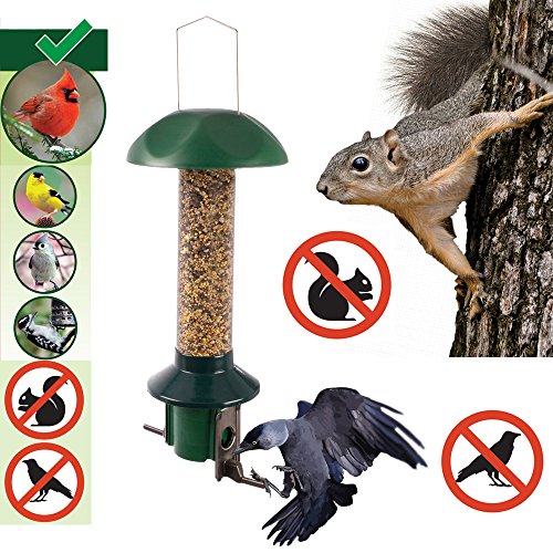Roamwild PestOff Squirrel Proof Bird Feeder Mixed Seed Sunflower Heart