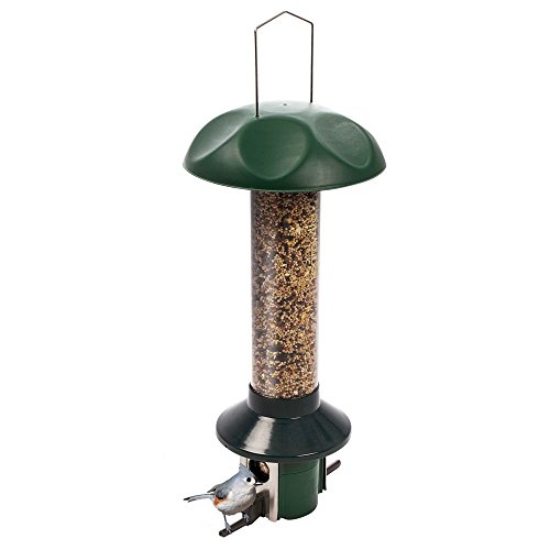 Roamwild PestOff Squirrel Proof Bird Feeder Mixed Seed Sunflower Heart