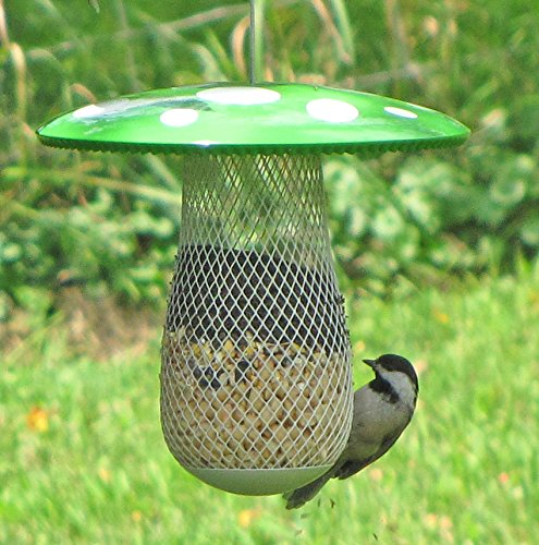 the best bird feeder to attract more wild birds suitable the best bird feeder to attract more wild birds suitable