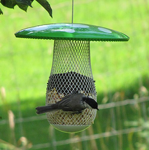 the best bird feeder to attract more wild birds suitable the best bird feeder to attract more wild birds suitable